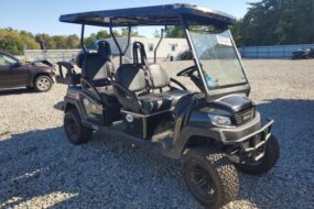 2024 Bint Golfcart for Sale